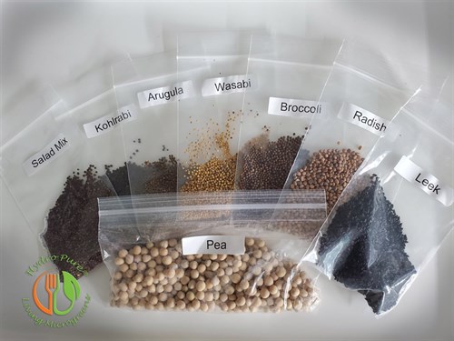 Seed Refill for Home Grow Kit