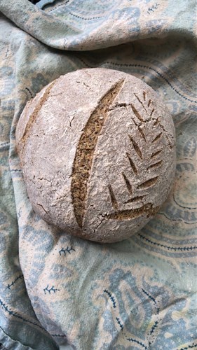 PLAIN-Sprouted buckwheat and Millet Sourdough