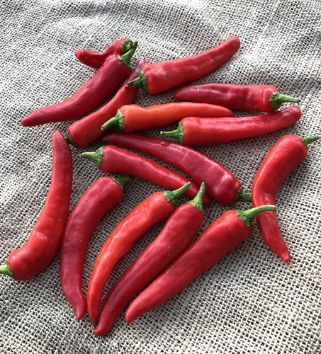 Produce - Peppers, Hot Cayenne
