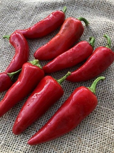 Produce - Peppers, Hot, Fresno