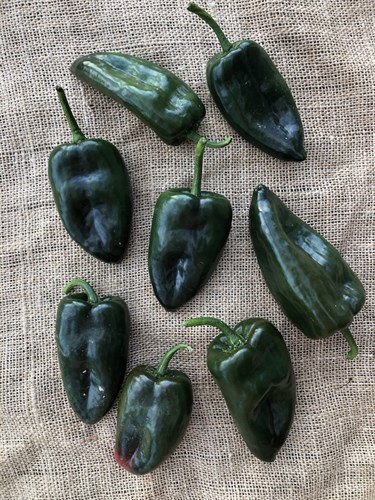 Produce - Peppers (Hot), Poblano