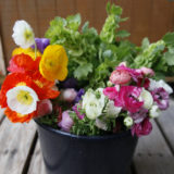 Flower bucket - Seasonal mixed